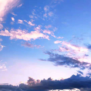 打屁股从白打到嫩红视频网站
